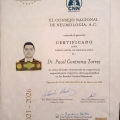 Ampliar imagen: certificate 5