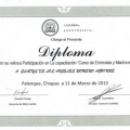 Ampliar imagen: certificate 7