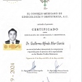 Ampliar imagen: certificate 1