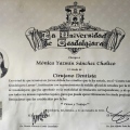 Ampliar imagen: certificate 9