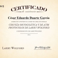 Ampliar imagen: certificate 7