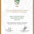 Ampliar imagen: certificate 2