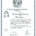Ampliar imagen: certificate 3