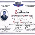 Ampliar imagen: certificate 4