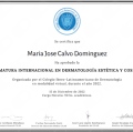 Ampliar imagen: certificate 3