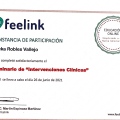 Ampliar imagen: certificate 12