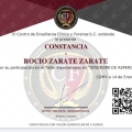 Ampliar imagen: certificate 12