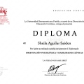 Ampliar imagen: certificate 3