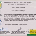 Ampliar imagen: certificate 14