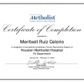 Ampliar imagen: certificate 3