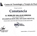 Ampliar imagen: certificate 10