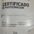 Ampliar imagen: certificate 7