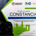Ampliar imagen: certificate 6