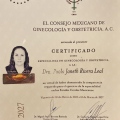 Ampliar imagen: certificate 1