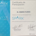 Ampliar imagen: certificate 7
