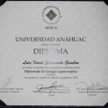 Ampliar imagen: certificate 4