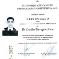 Ampliar imagen: certificate 6