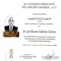 Ampliar imagen: certificate 2