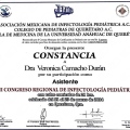 Ampliar imagen: certificate 5