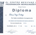 Ampliar imagen: certificate 4