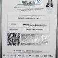 Ampliar imagen: certificate 8