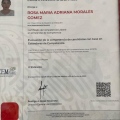 Ampliar imagen: certificate 1