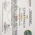 Ampliar imagen: certificate 3