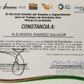 Ampliar imagen: certificate 5
