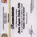 Ampliar imagen: certificate 11