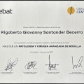 Ampliar imagen: certificate 4