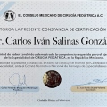 Ampliar imagen: certificate 1