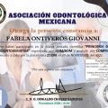 Ampliar imagen: certificate 31