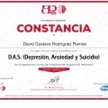 Ampliar imagen: certificate 5