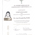 Ampliar imagen: certificate 3