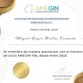 Ampliar imagen: certificate 4