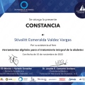 Ampliar imagen: certificate 24