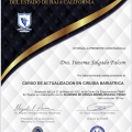 Ampliar imagen: certificate 2