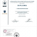 Ampliar imagen: certificate 4