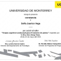 Ampliar imagen: certificate 3
