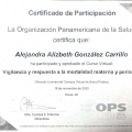 Ampliar imagen: certificate 13