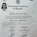 Ampliar imagen: certificate 4