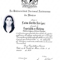 Ampliar imagen: certificate 3