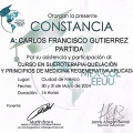 Ampliar imagen: certificate 1