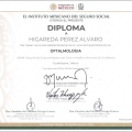 Ampliar imagen: certificate 2