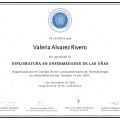 Ampliar imagen: certificate 3