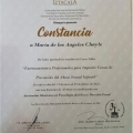 Ampliar imagen: certificate 5