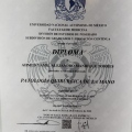 Ampliar imagen: certificate 5
