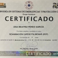 Ampliar imagen: certificate 5