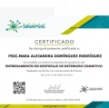 Ampliar imagen: certificate 3