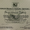 Ampliar imagen: certificate 3